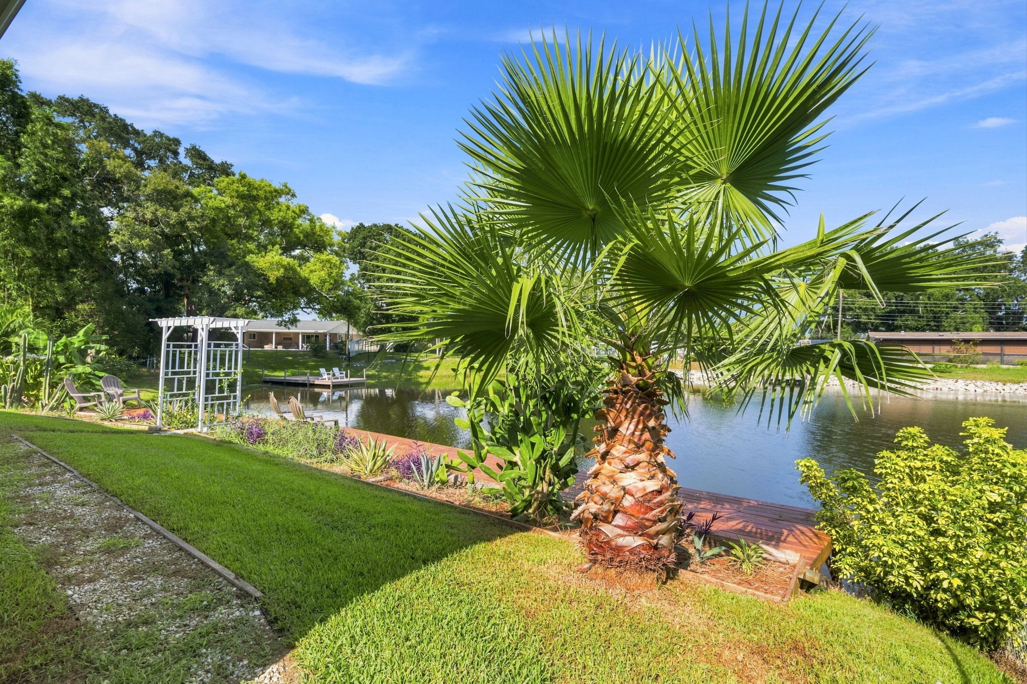 Backyard1