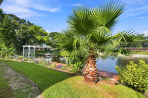 Backyard1