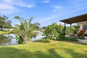 Backyard8