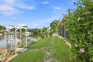 Backyard11