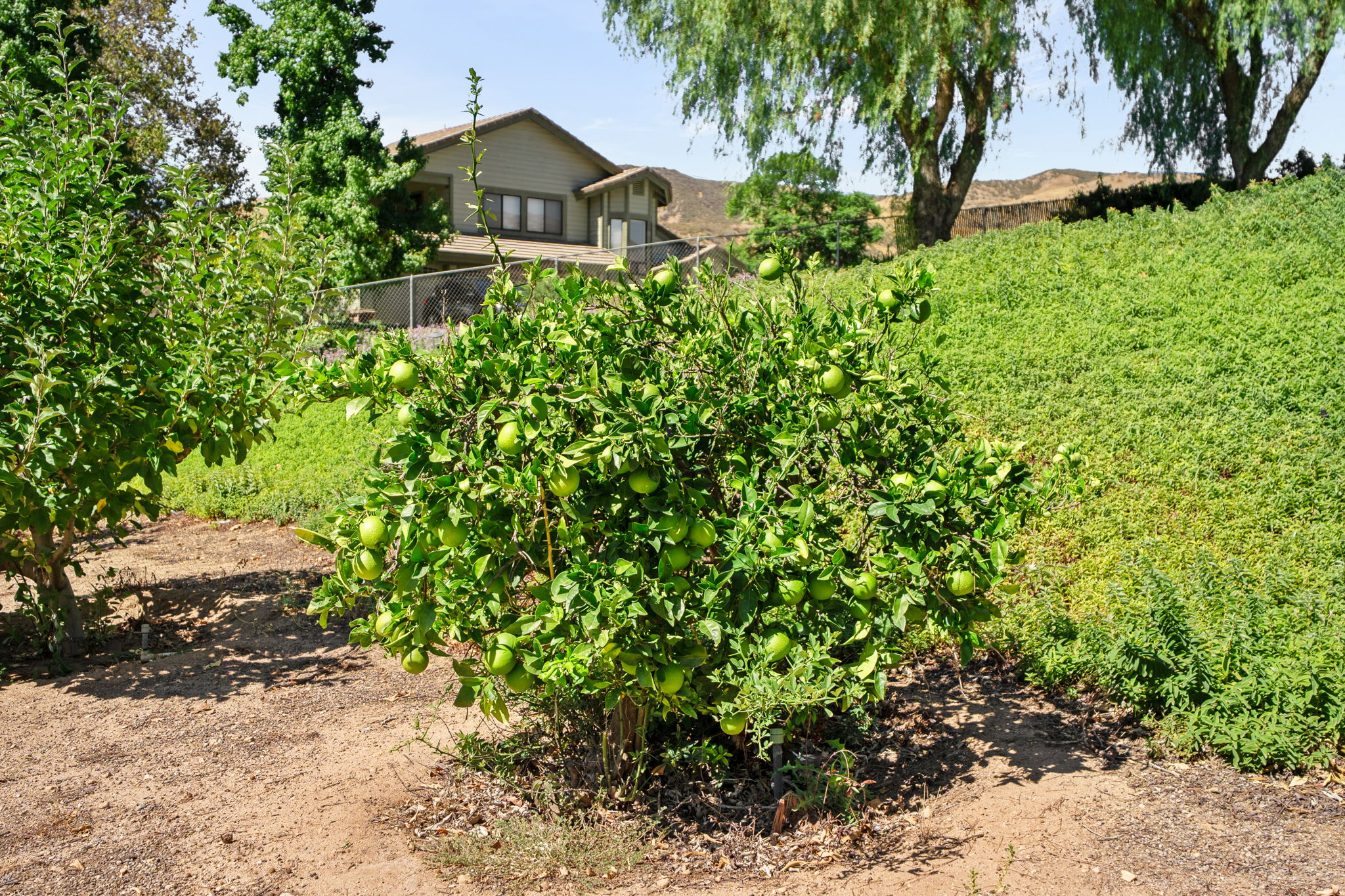  Photo 9