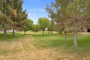  Photo 37