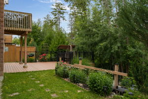  Photo 49