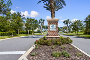 Nocatee