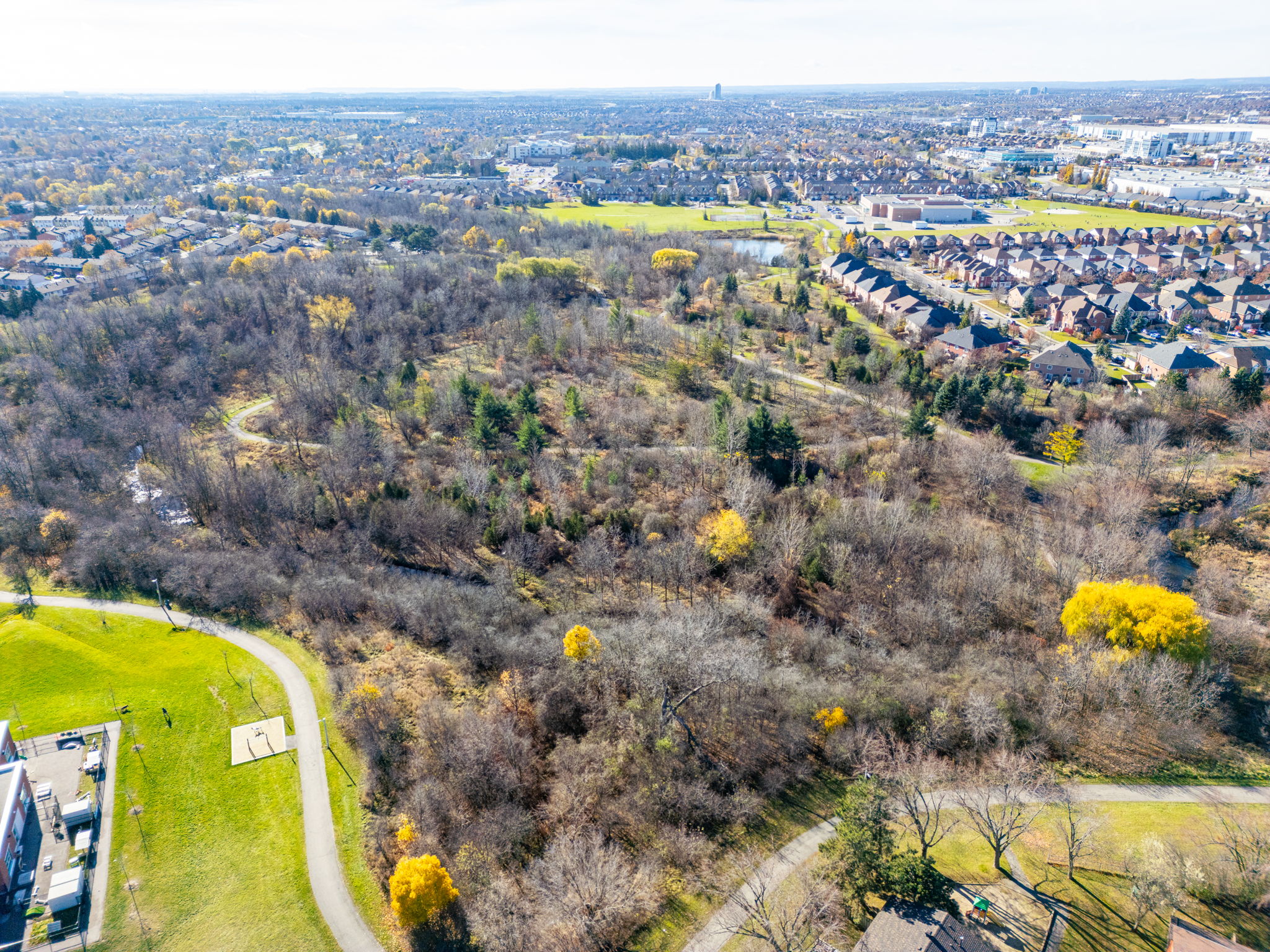 Brampton property showcase — delivered property photograph 44