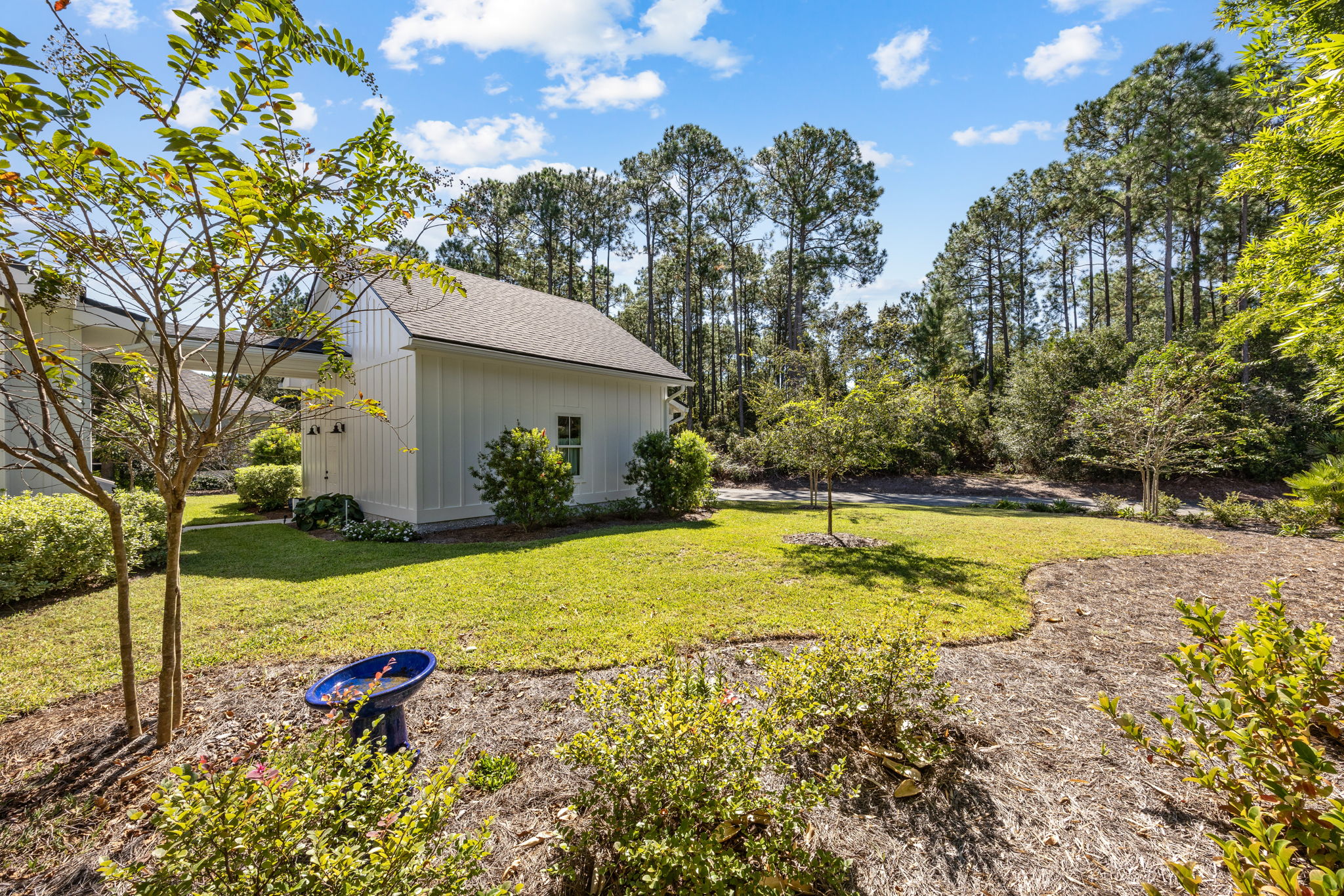 Backyard