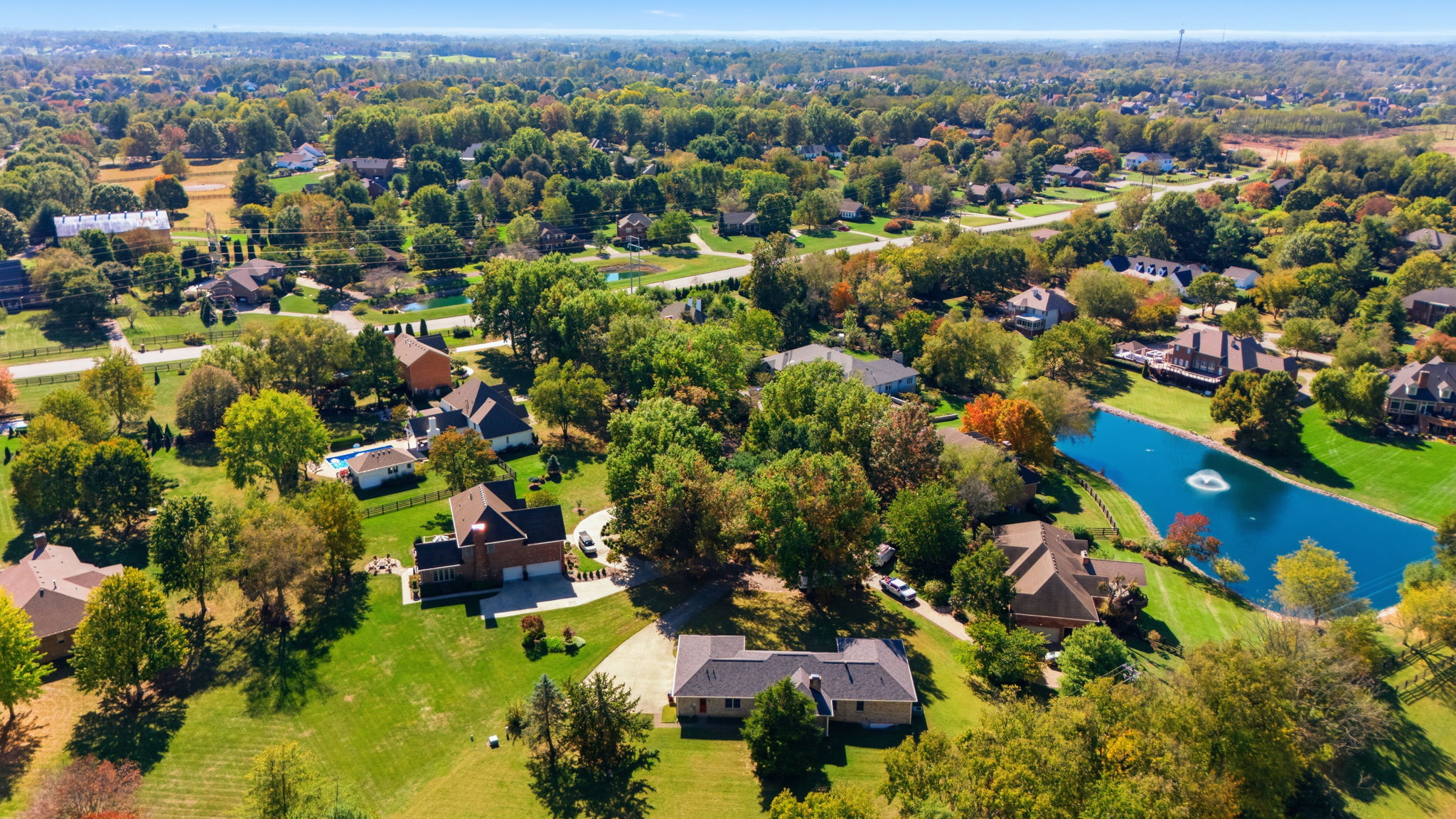  Photo 50