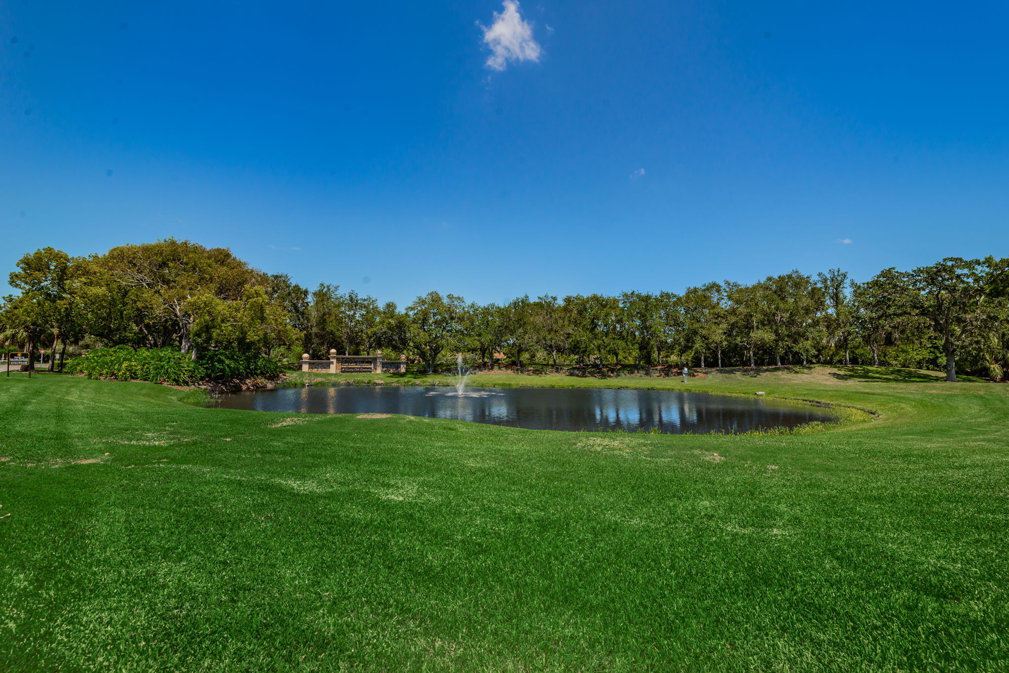 East Lake Woodlands Gated Entry2