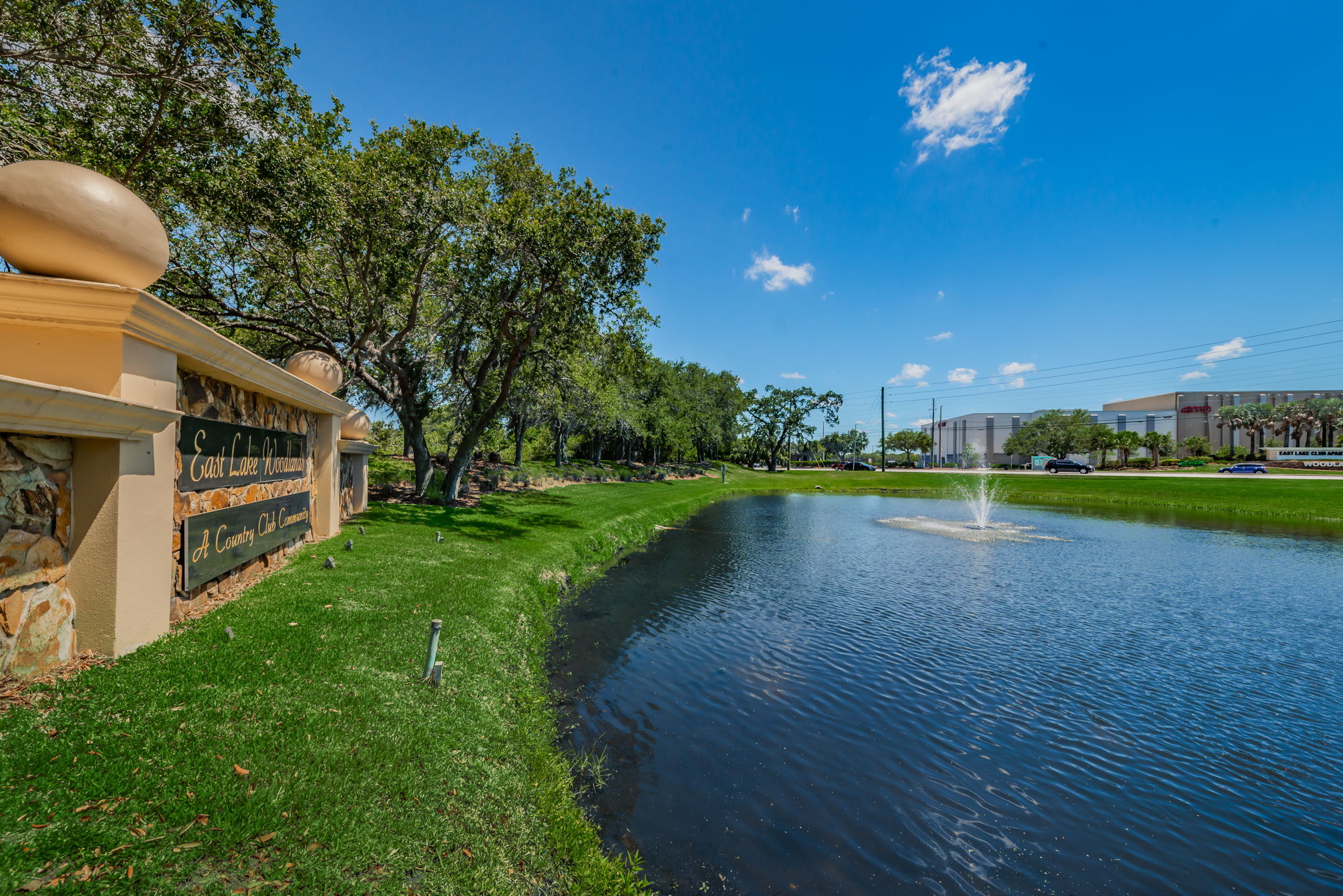 East Lake Woodlands Gated Entry6