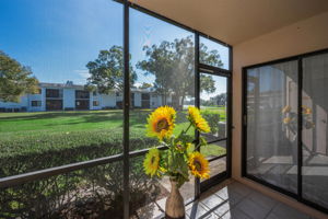 Sun Room2
