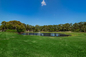East Lake Woodlands Gated Entry2