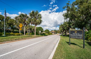 East Lake Woodlands Gated Entry8