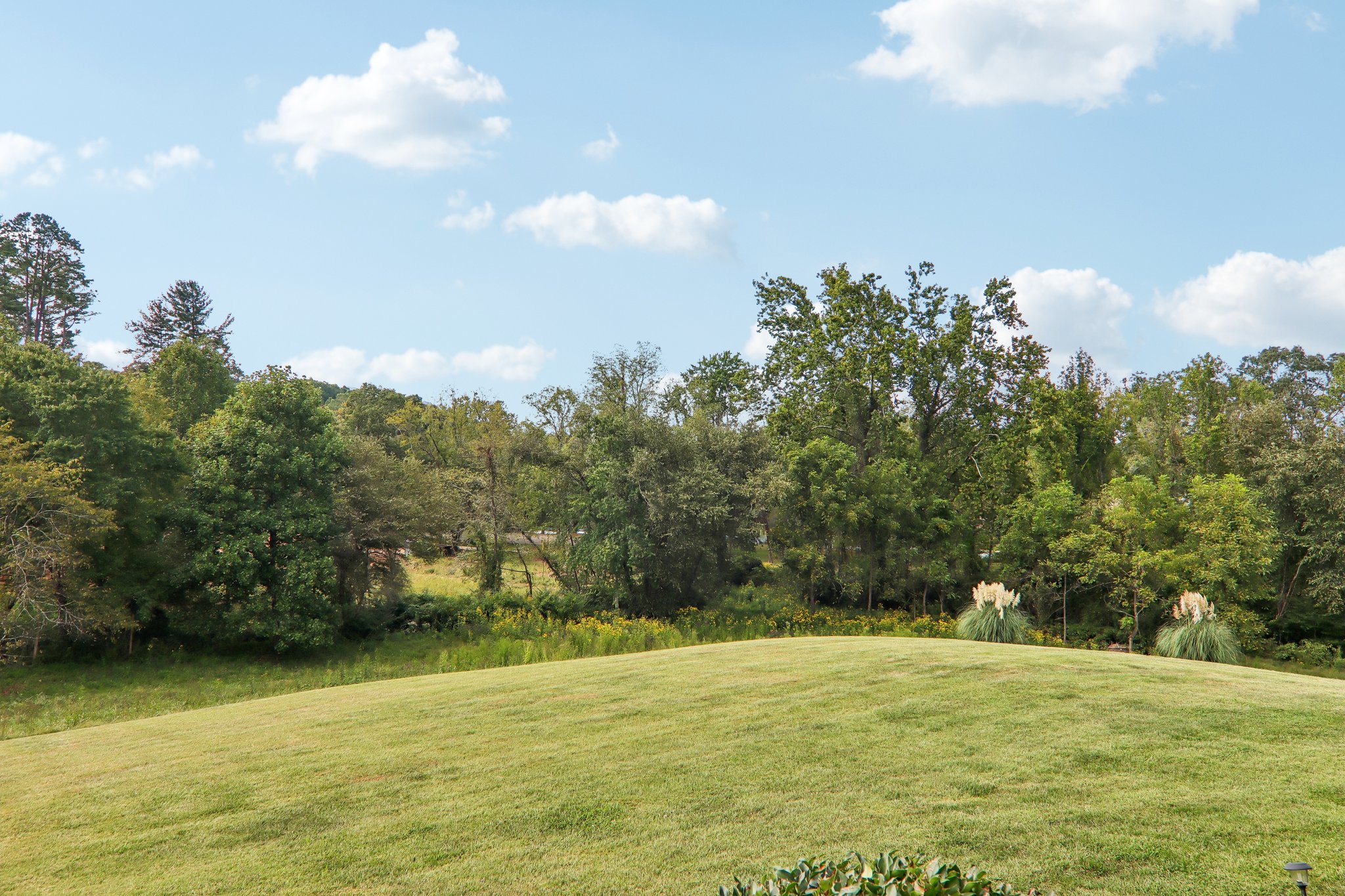 New Pinner Pl-S1809-047.jpg