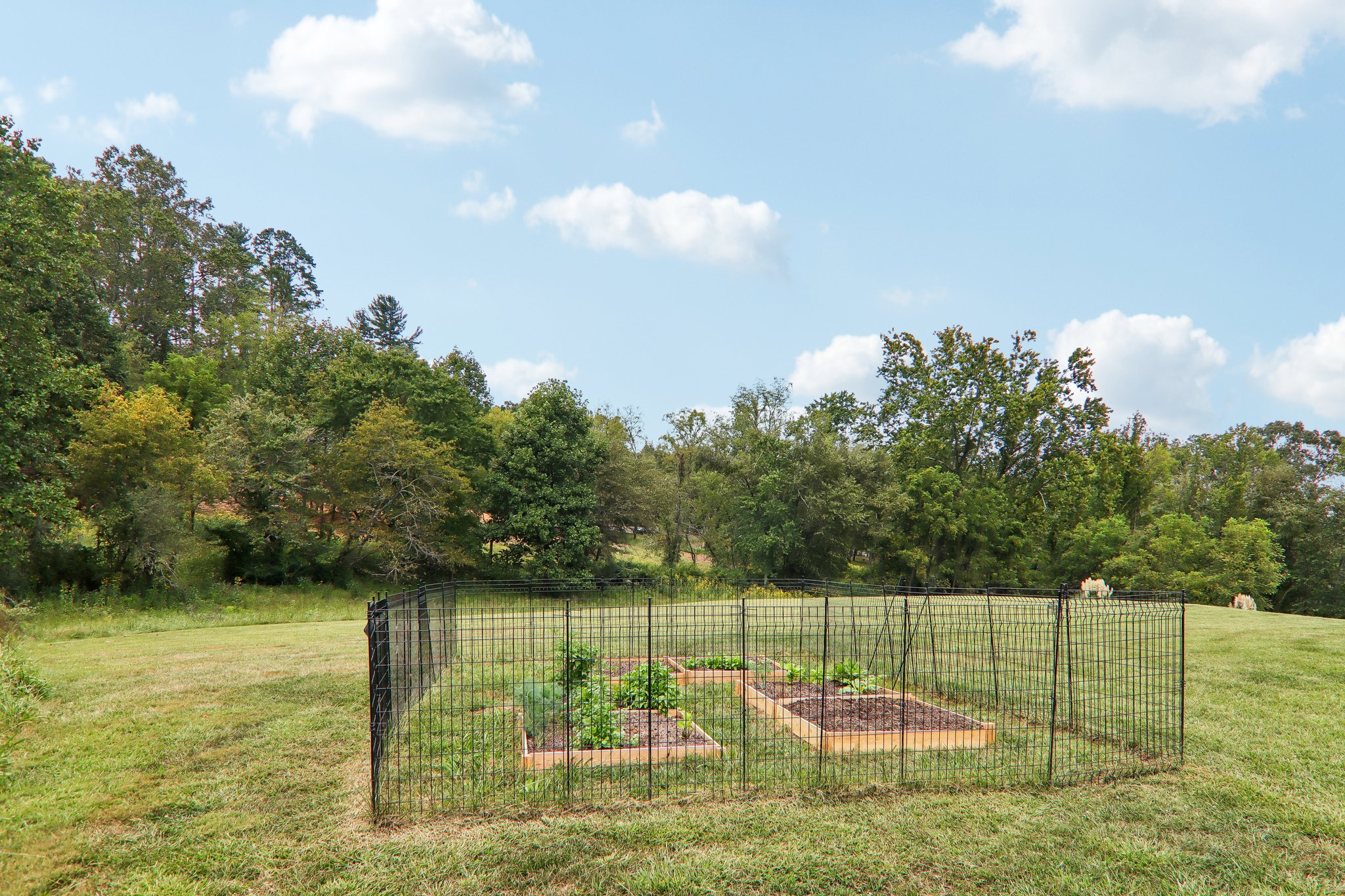 New Pinner Pl-S1809-048.jpg