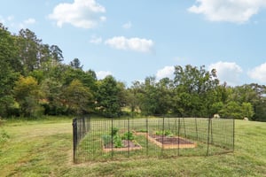 New Pinner Pl-S1809-048.jpg