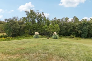 New Pinner Pl-S1809-051.jpg