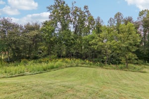 New Pinner Pl-S1809-052.jpg