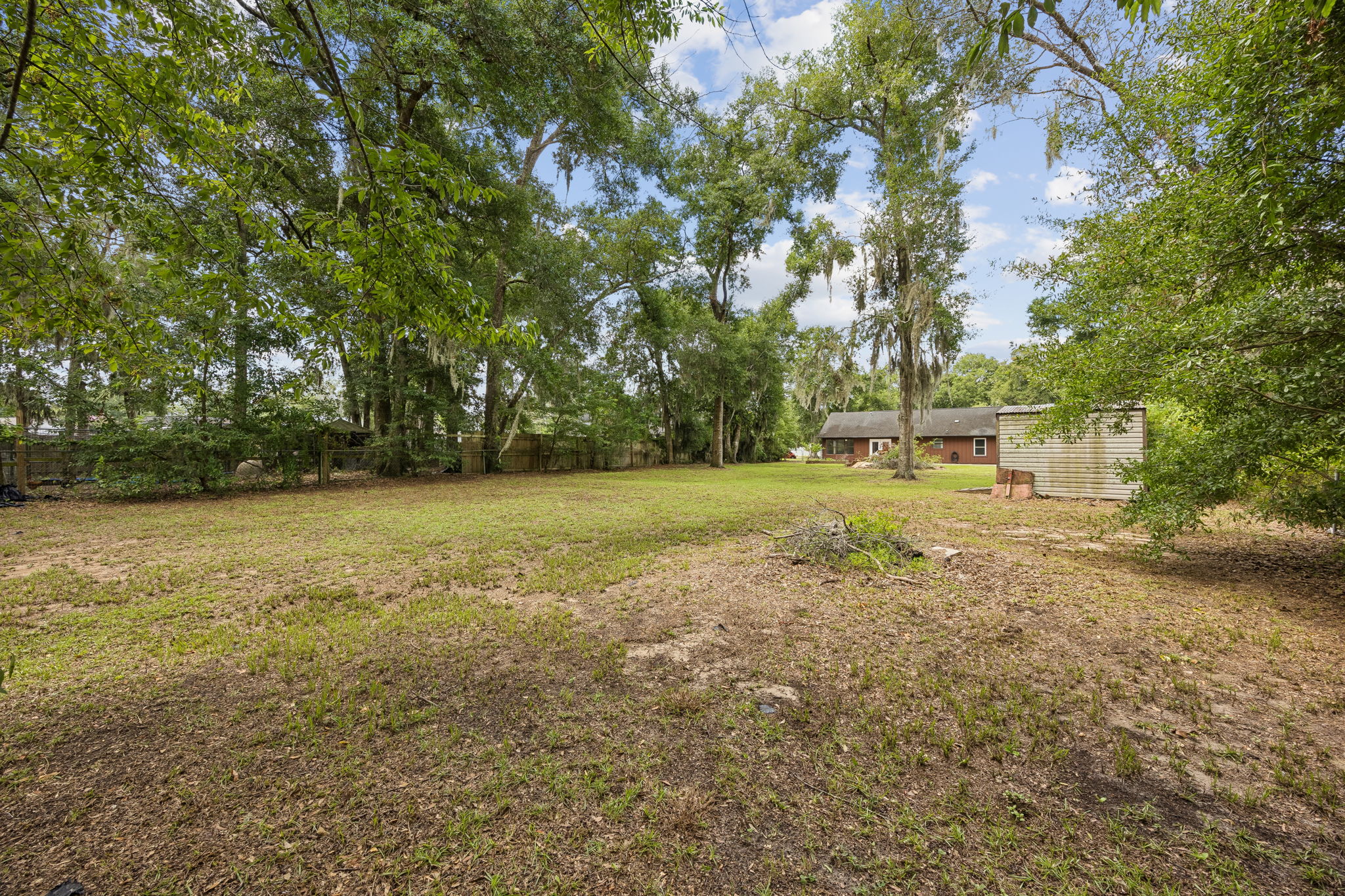 Backyard