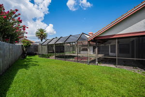Backyard6