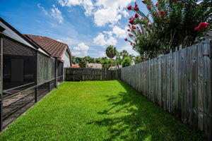 Backyard5