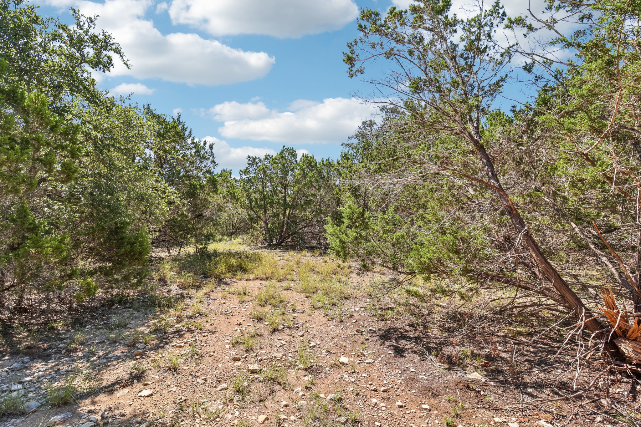 Farm to Market 32-S2507-070.jpg