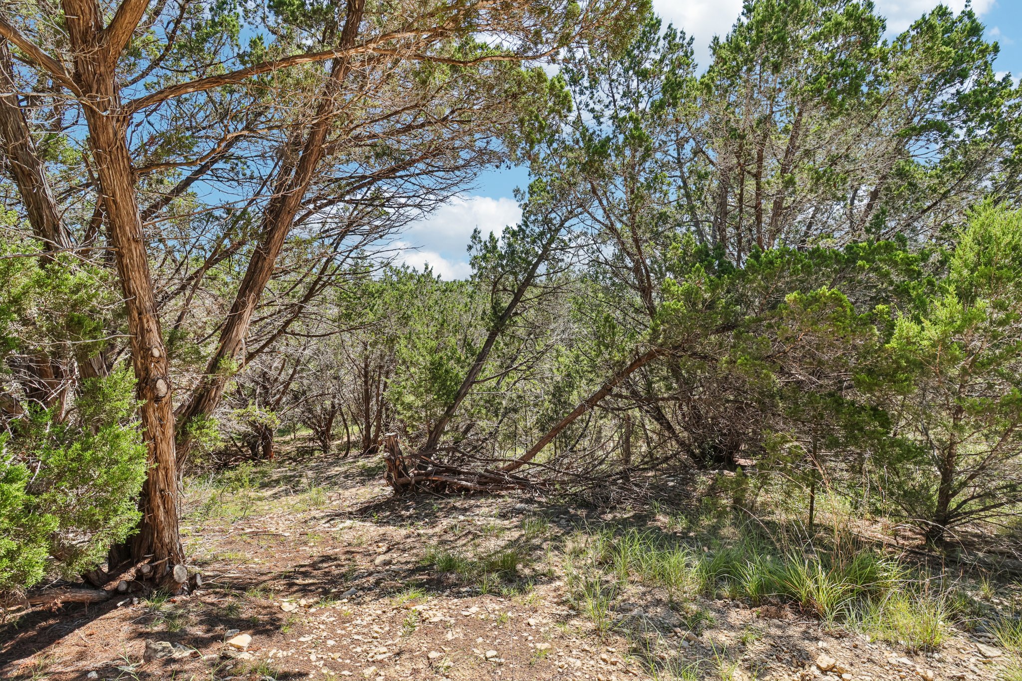 Farm to Market 32-S2507-072.jpg