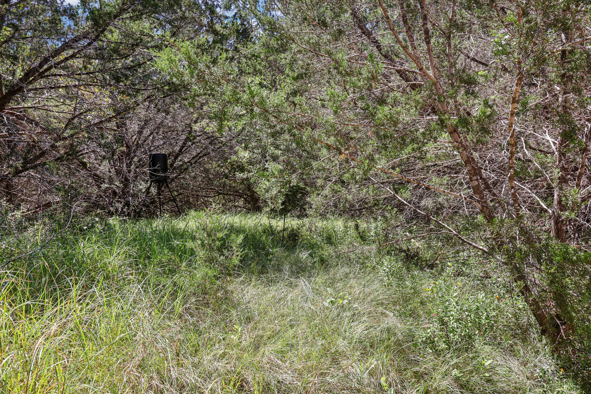 Farm to Market 32-S2507-073.jpg