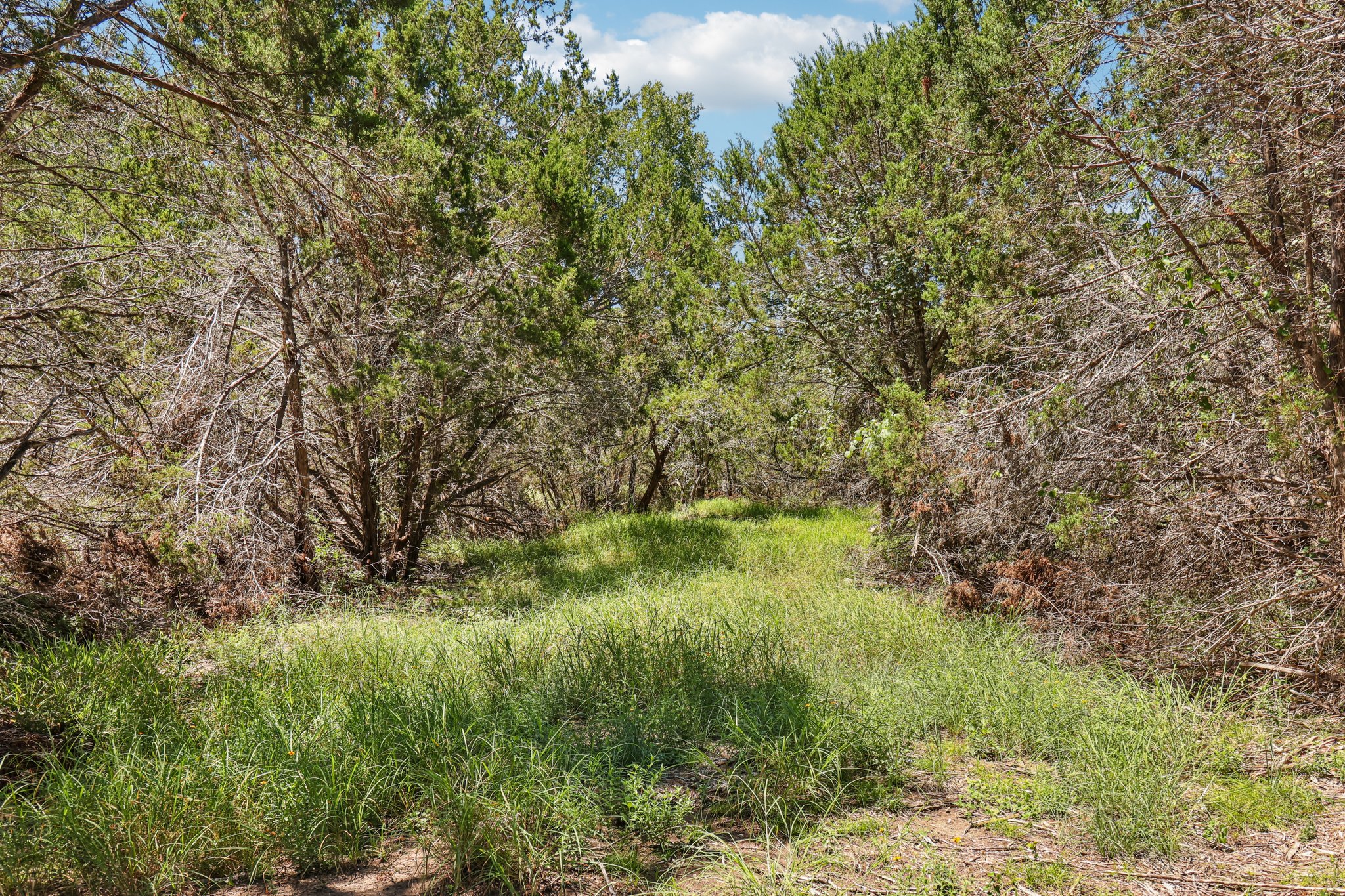 Farm to Market 32-S2507-076.jpg