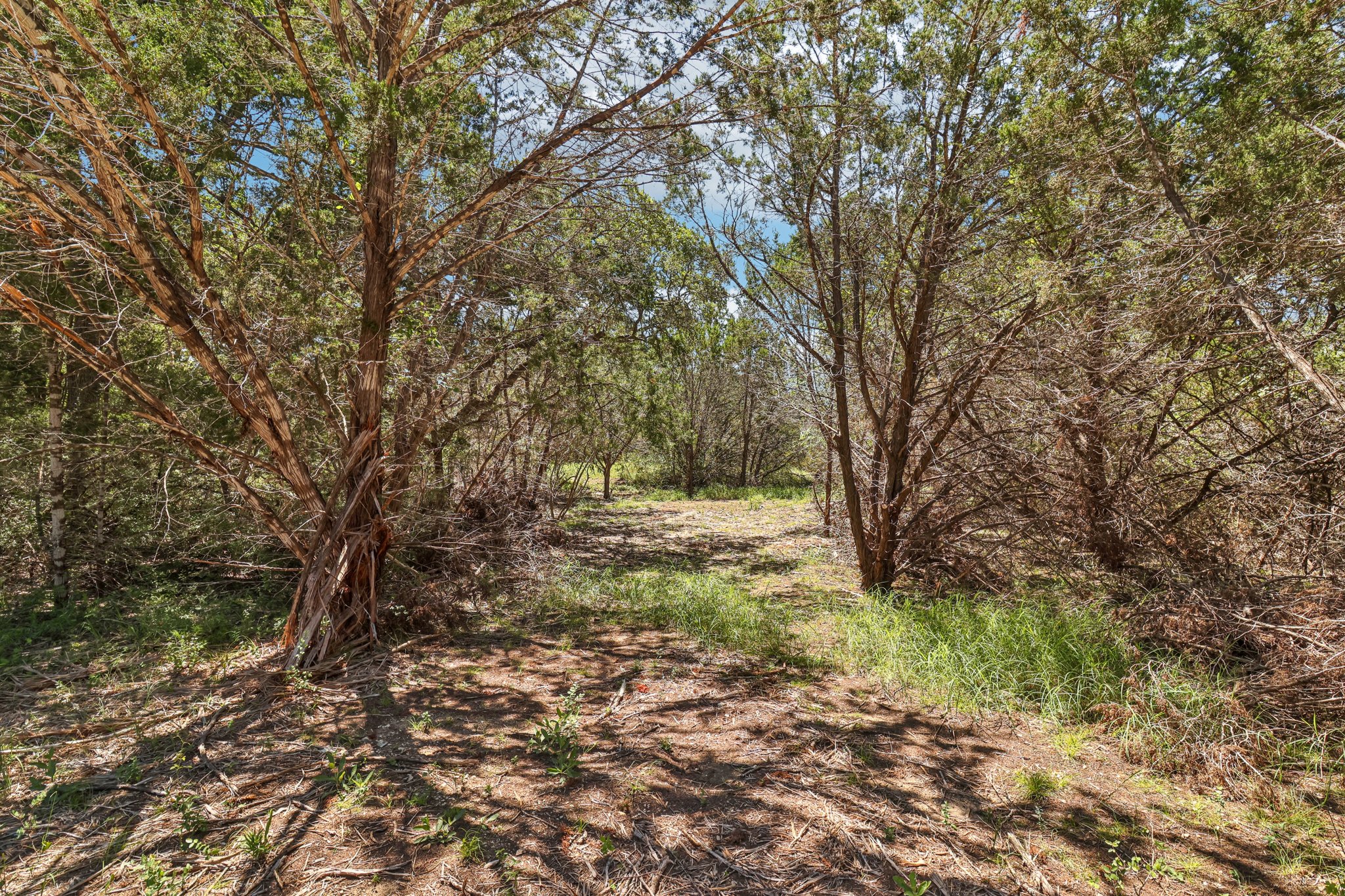 Farm to Market 32-S2507-078.jpg