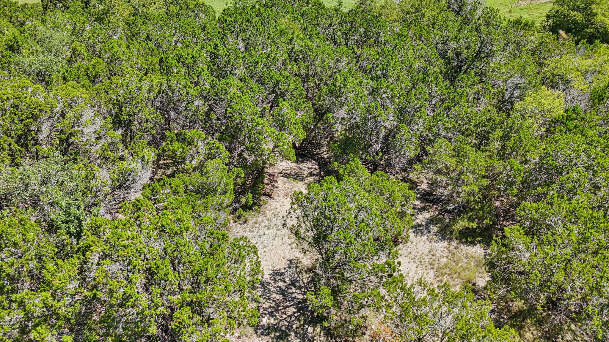 Farm to Market 32-S2507-097.jpg