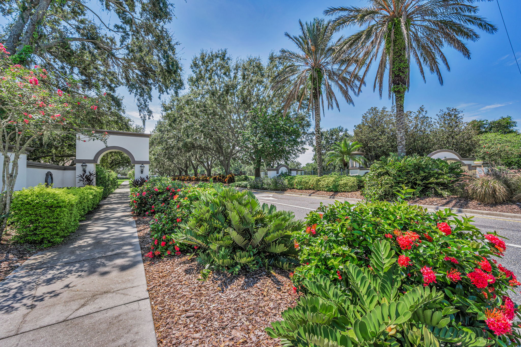 4-Champions Club Entry