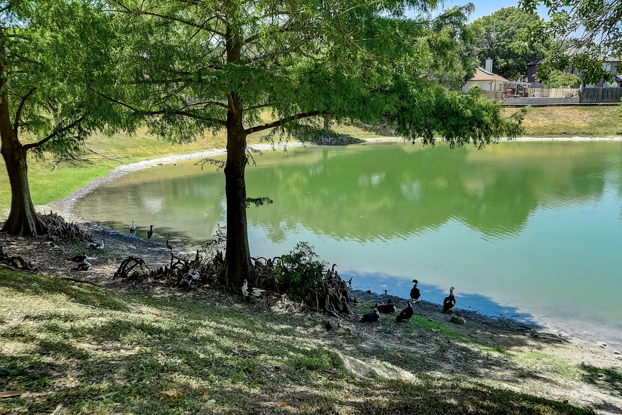 Lake Path Dr-058