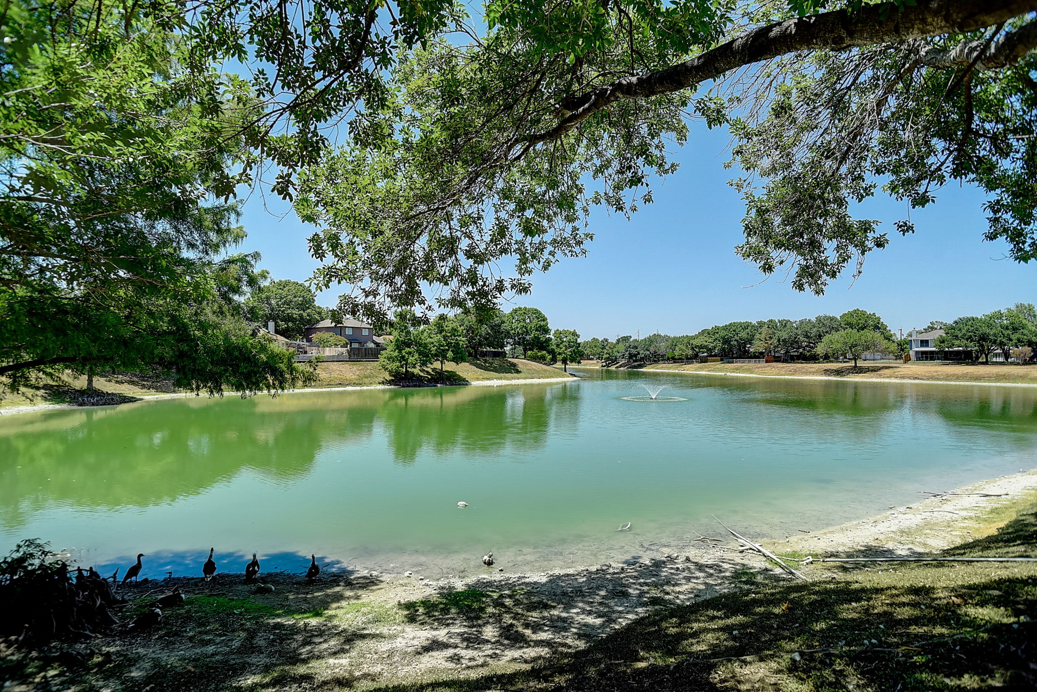 Lake Path Dr-060