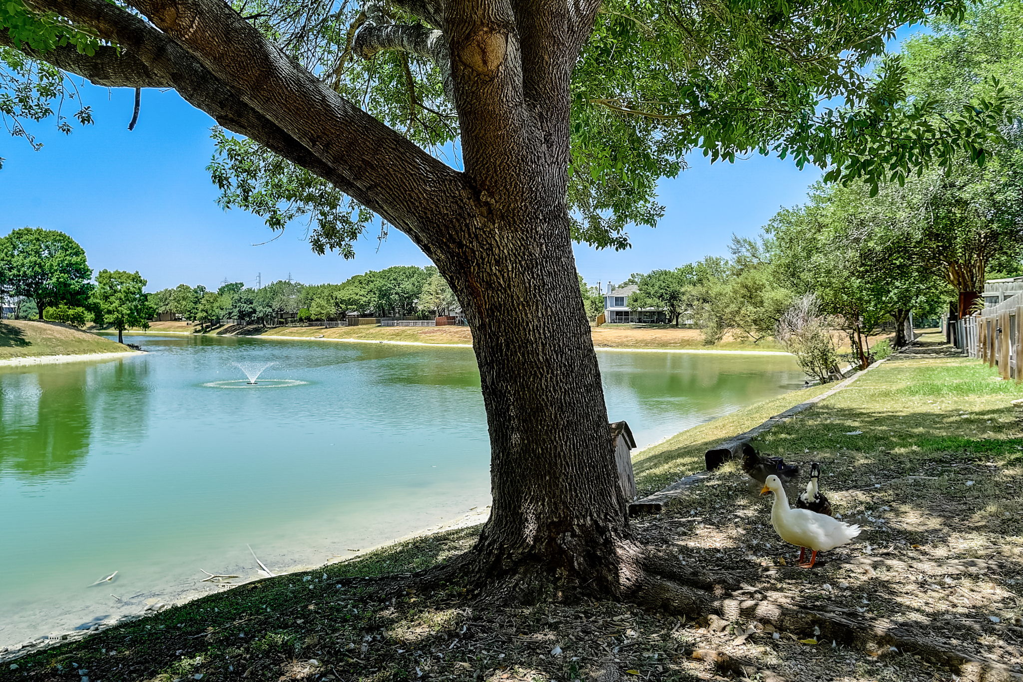 Lake Path Dr-059