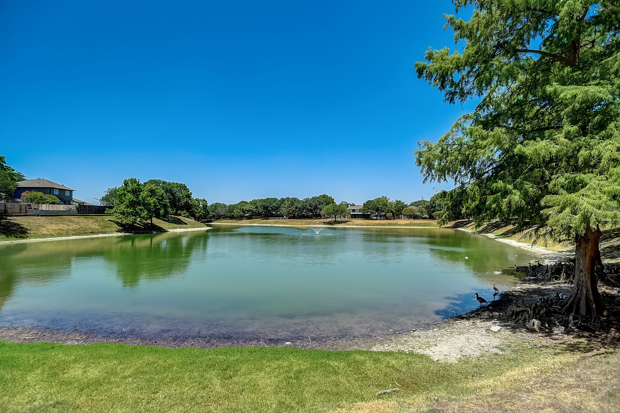 Lake Path Dr-061
