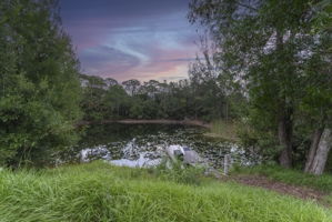  Photo 50