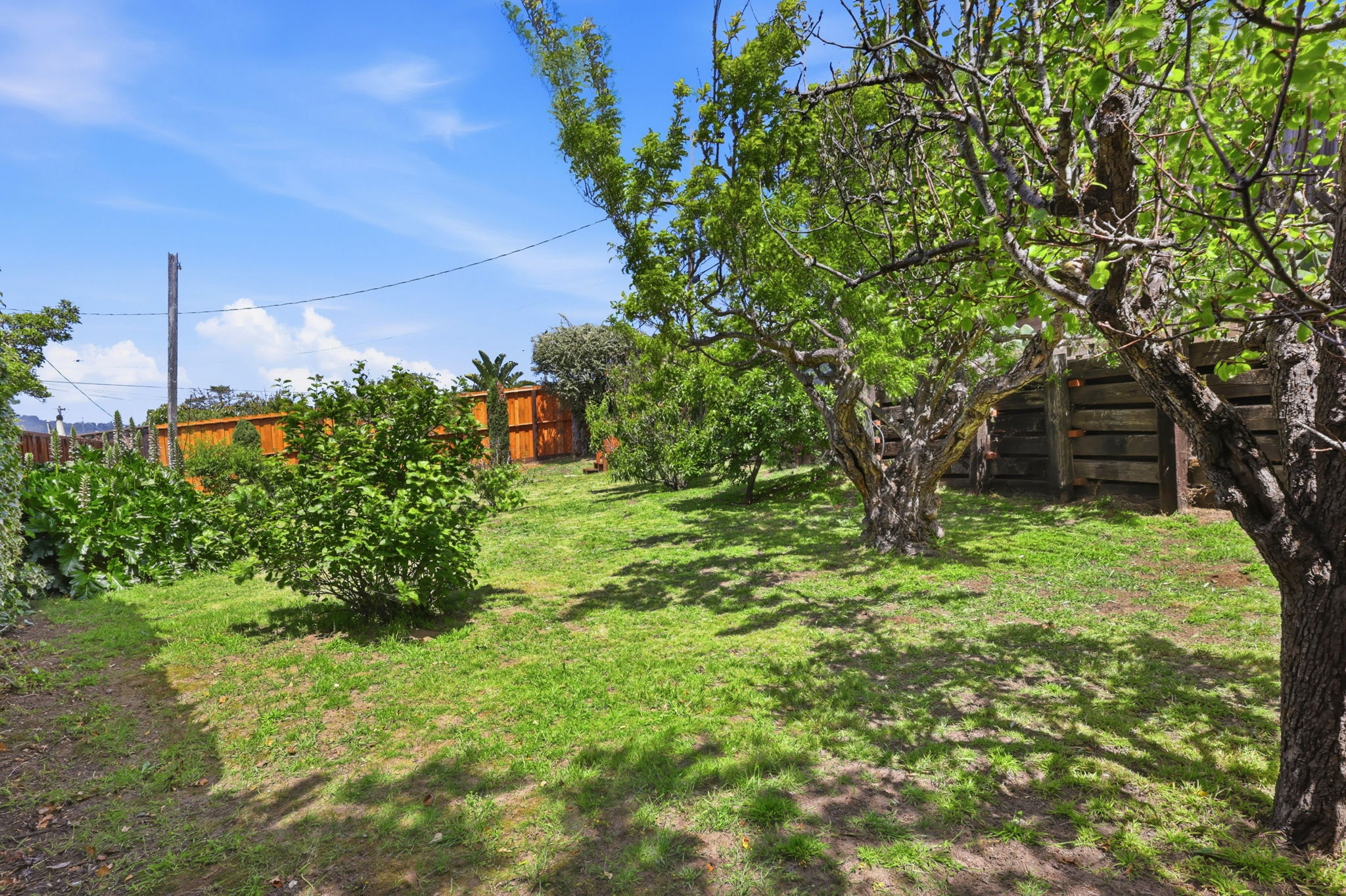 032_F8_1071 Sunnyside Dr