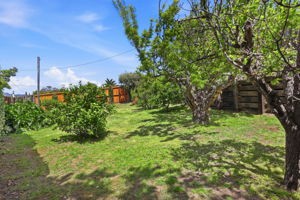 032_F8_1071 Sunnyside Dr