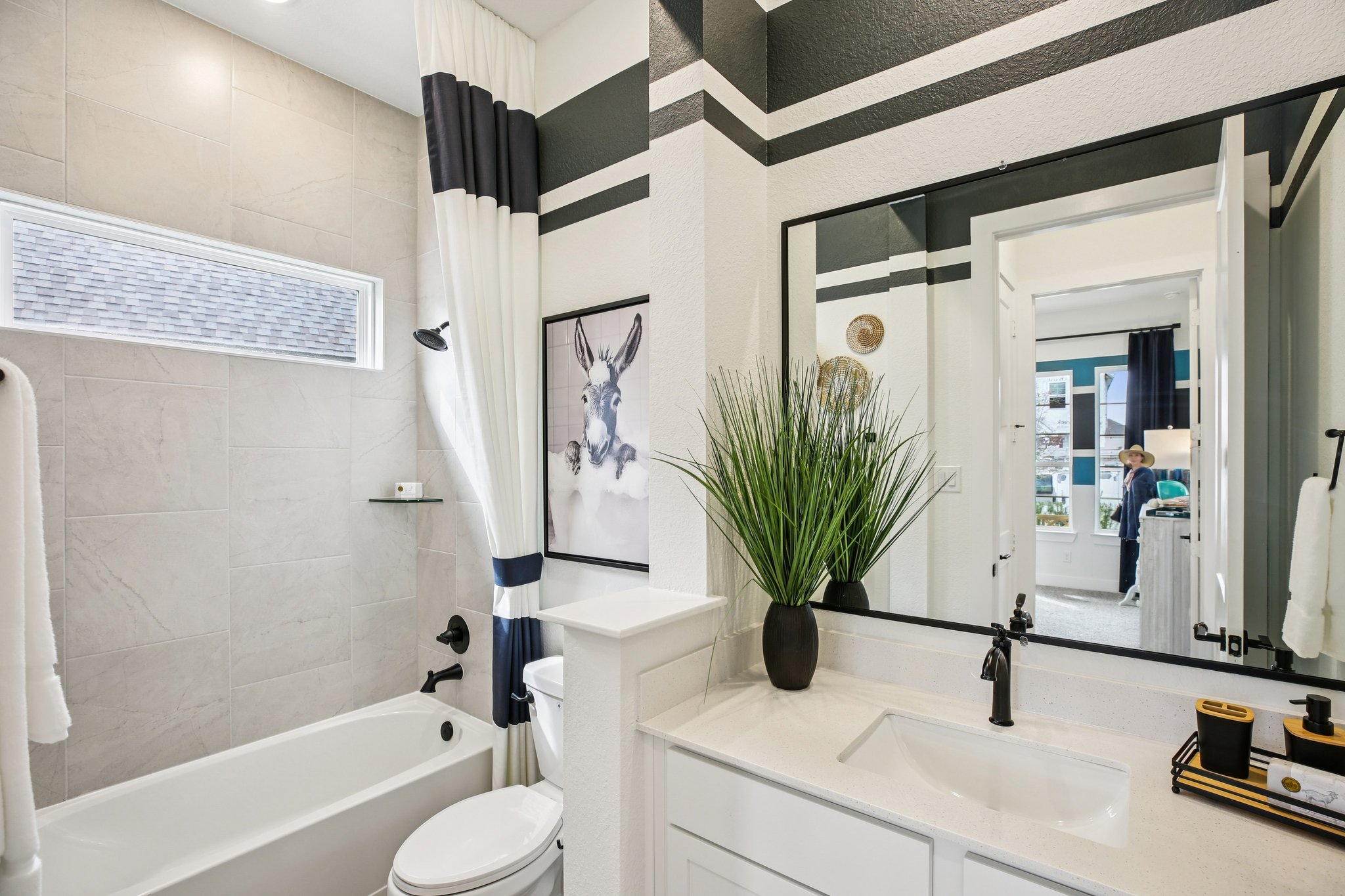 Linnaeus Ln-S0703-035.jpg