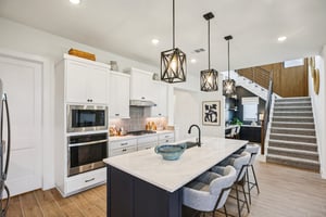 Linnaeus Ln-S0703-010.jpg