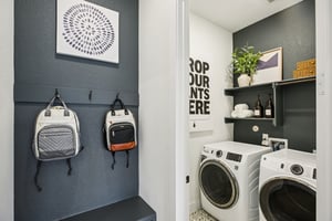 Linnaeus Ln-S0703-033.jpg