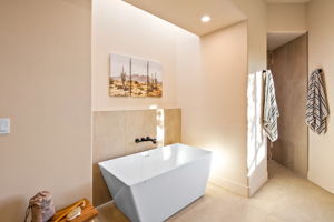 Guest Bath