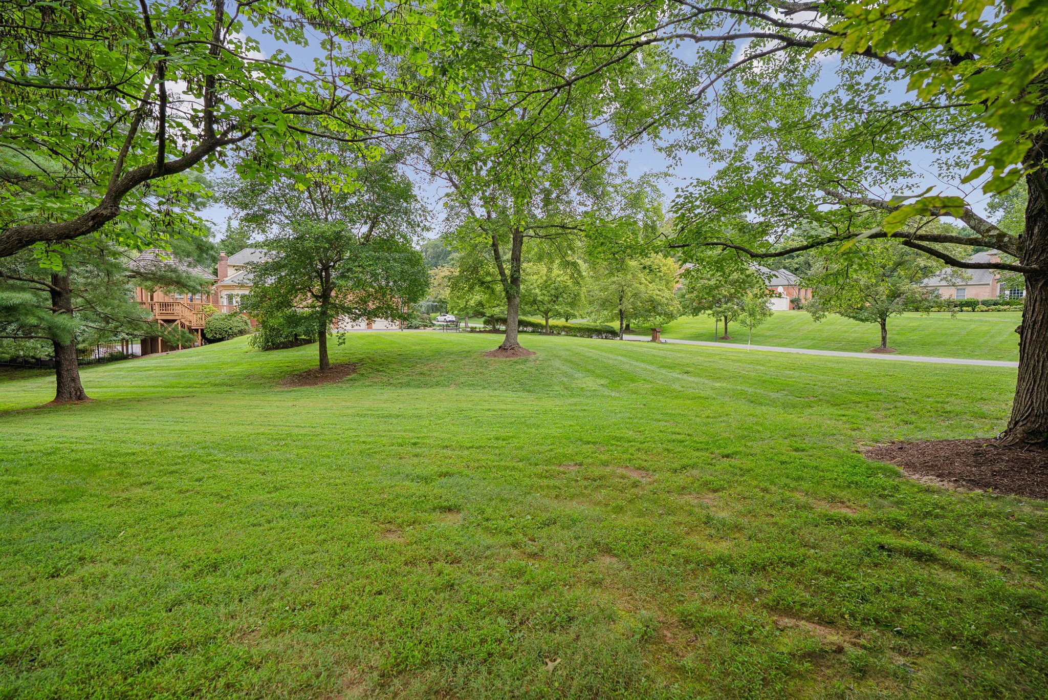 Green Side Yard Prefect for Play leading to Community Space