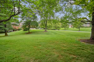Green Side Yard Prefect for Play leading to Community Space
