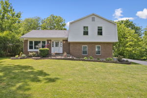  Photo 0