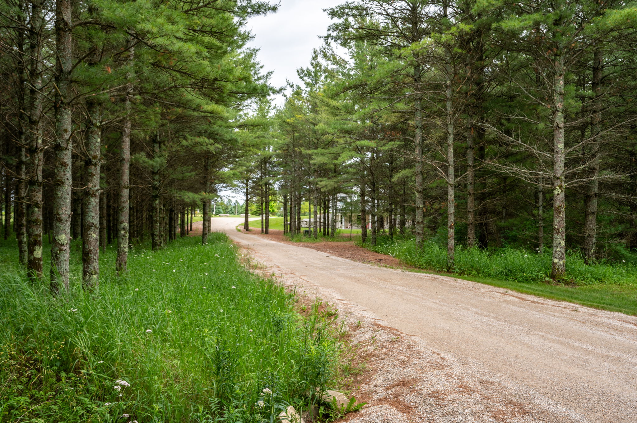 10734 White Pine Lane Sister Bay Wisconsin-61