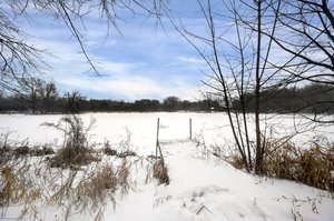 10736 Alameda Ave, Inver Grove Heights, MN 55077, USA Photo 33