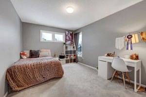 10736 Alameda Ave, Inver Grove Heights, MN 55077, USA Photo 62