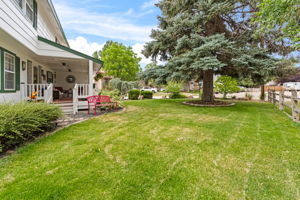 Front Yard