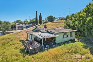 Lupin Way-S2703-020.jpg